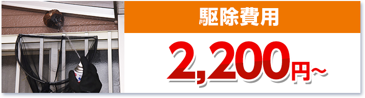 駆除費用2,200円~・スズメバチの巣・ミツバチの巣・アシナガバチの巣